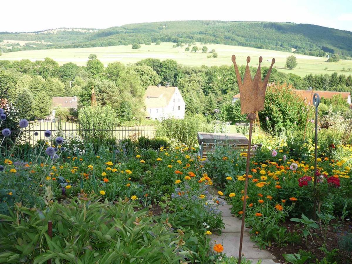 Ferienwohnung Stirnbergblick Ehrenberg  Eksteriør billede